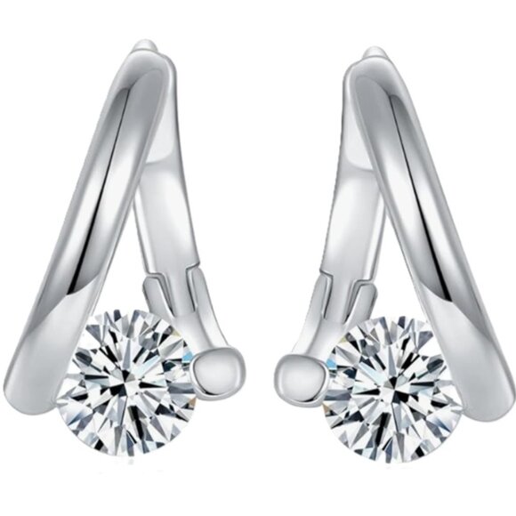 d'Vine Products Jewelry - Lymphatic Germanium Magnetology Drainage Silver Electro-Plated Hoop Earrings